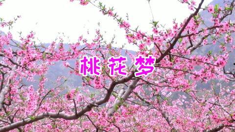 大师，你桃花开了,大师笔下桃花盛开的美妙画卷