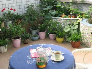 余生菀苑,探寻生命中的美好时光